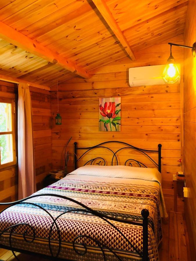 Happy Glamping Cy Vila Agios Theodoros Exterior foto