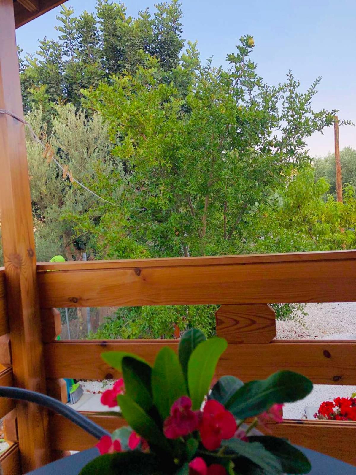Happy Glamping Cy Vila Agios Theodoros Quarto foto
